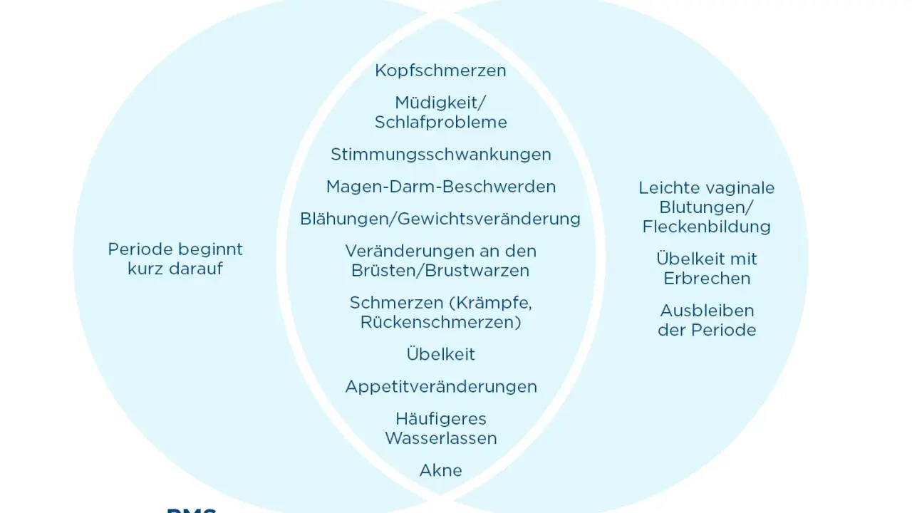 Venn-Diagramm zeigt PMS-Symptome und Frühschwangerschafts-Anzeichen. Manche Symptome ähneln sich, was zu Verwirrung führen kann, ob man schwanger trotz Periode ist.