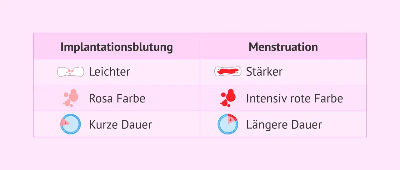 Vergleich: Einistungsblutung vs. Menstruation. Wann tritt sie auf? Leichter, rosa, kurz vs. stärker, rot, länger.