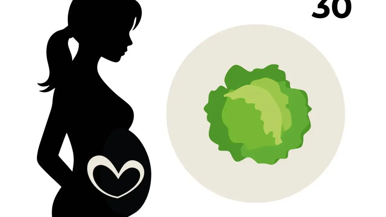 Silhouette einer schwangeren Frau mit einem Herzsymbol auf dem Bauch. Daneben ein Kohlkopf und die Zahl 30, die 30 ssw symbolisiert.