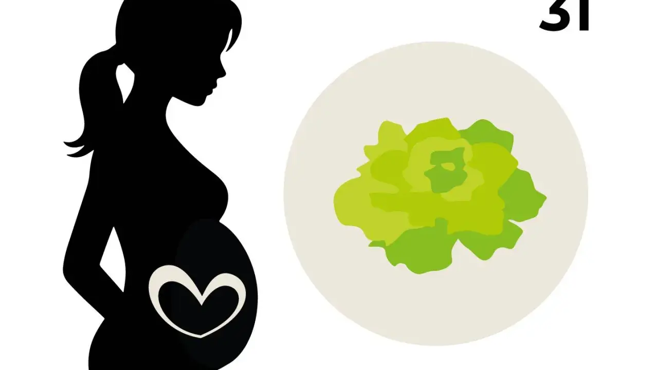 Silhouetten einer schwangeren Frau mit einem Herzsymbol auf dem Bauch. Daneben eine Illustration eines Kopfsalats, der das Baby in der 31. SSW symbolisiert.