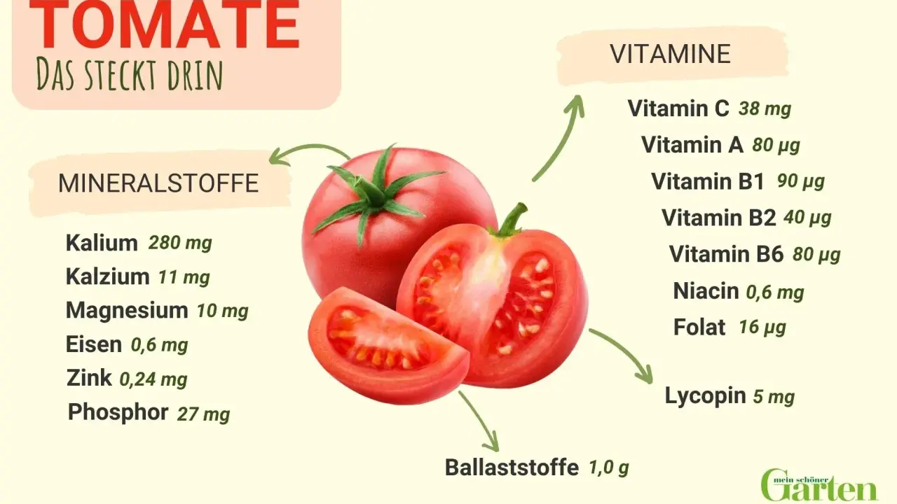 Tomaten sind gesund! Die Grafik zeigt, dass sie reich an Vitaminen wie C und A sowie Mineralstoffen wie Kalium sind.