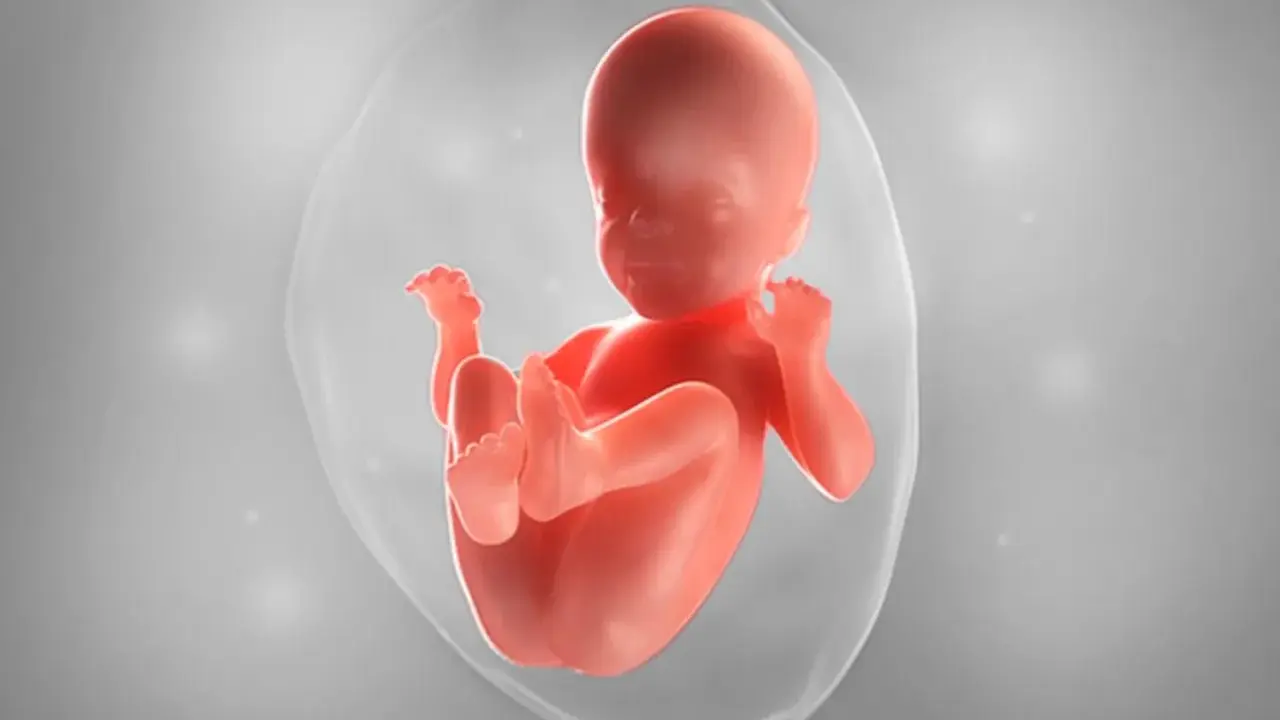 Ein Baby in der 26. SSW, das sich im Fruchtwasser entwickelt. Es ist in einer schützenden Blase, bereit für das Leben.