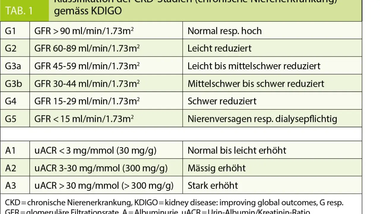 Tabelle zeigt CKD-Stadien nach KDIGO, basierend auf GFR-Werten (Nierenwerte Blut) und Albuminurie.