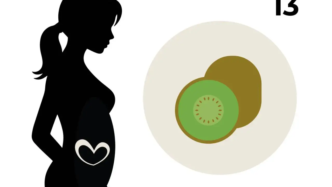 Silhouette einer schwangeren Frau mit einem Herzsymbol im Bauch. Daneben ein Kiwi-Obst und die Zahl 13, die 13 ssw. symbolisiert.