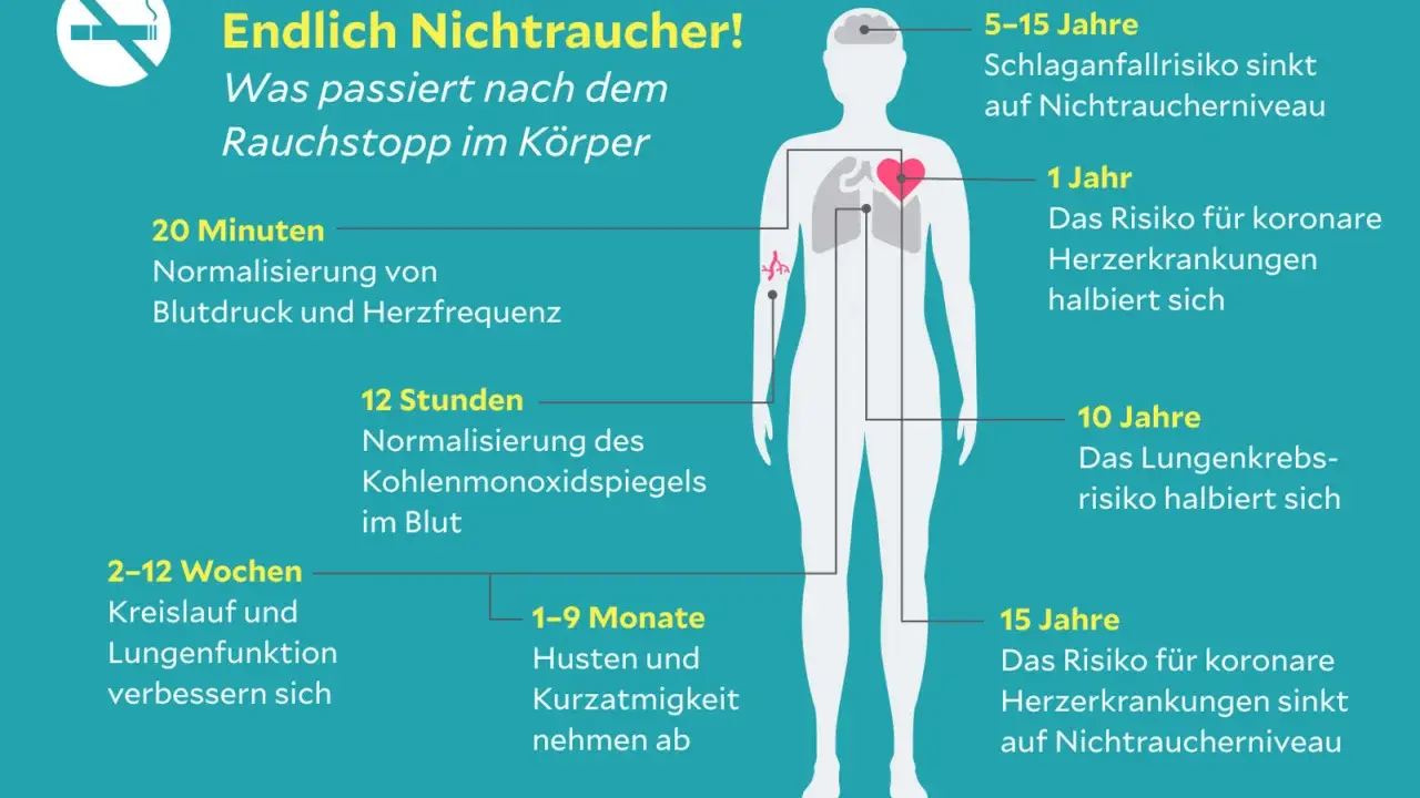 Nach Rauchstopp normalisieren sich Blutdruck & Herzfrequenz. Die nikotin wirkung auf das nervensystem lässt nach, Risiken für Herz & Lunge sinken.