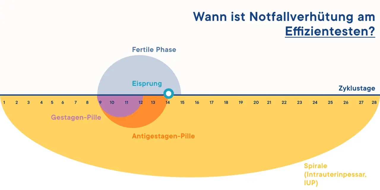 Grafik zeigt den Menstruationszyklus mit fruchtbarer Phase und Eisprung. Sie erklärt, wann die Notfallverhütung, wie die Pille danach, am effizientesten ist.