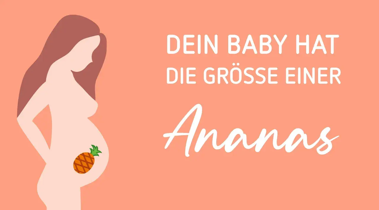 34 ssw: Dein Baby hat die Größe einer Ananas.