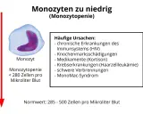 Bild zeigt einen Monozyten und erklärt, dass zu niedrige Monozyten (Monozytopenie) durch HIV, Medikamente oder schwere Verbrennungen verursacht werden können.