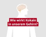 Gehirn-Illustration mit Text: Wie wirkt Kokain in unserem Gehirn? SRF.