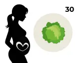 Silhouette einer schwangeren Frau mit einem Herzsymbol auf dem Bauch. Daneben ein Kohlkopf und die Zahl 30, die 30 ssw symbolisiert.
