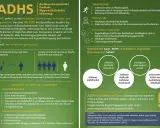 Infografik über ADHS: Symptome, Folgen und Behandlung. Ein ADHS-Test kann helfen, die Störung zu erkennen.