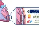 Herzinfarkt-Diagnostik: Ein erhöhter troponin wert ist entscheidend. Sensitivität 94%, Anstieg 3-8h, Maximum 12-96h. Dynamik zählt.