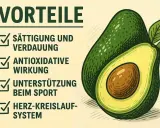 Avocado gesund: Sättigung, Verdauung, antioxidative Wirkung, Sport & Herz-Kreislauf-System.