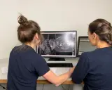 Zwei Frauen analysieren MRT-Bilder des Beckens einer Frau, um einen Tumor zu identifizieren.