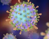 Detailansicht eines Mumpsvirus. Selbst nach einer Impfung können Viren wie dieser Mumpserreger eine Infektion verursachen.