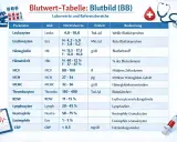 Blutbild-Tabelle mit Parametern wie Leukozyten, Erythrozyten (rote Blutkörperchen) und deren Normalwerte.