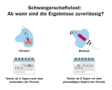 Wann Schwangerschaftstest? Urintest ab 2 Tage nach Ausbleiben der Periode, Bluttest ab 2 Tage vor dem geplanten Beginn.