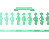 Illustration zeigt die Entwicklung des Babys in verschiedenen Schwangerschaftswochen, von Monat 1 bis 9.