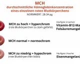 MCH-Wert: rote Blutkörperchen können hyperchrom (zu stark gefärbt), normochrom oder hypochrom (blass) sein. Ursachen für MCH-Abweichungen sind u.a. Vitaminmangel oder Eisenmangelanämie.