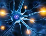 Blaues Neuron mit leuchtendem Kern und orangefarbenen Impulsen, die auf die Nervenbahnen hindeuten. Mögliche Darstellung von small fiber neuropathie augen.