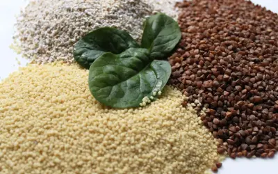 Haufen von Couscous, Buchweizen und Haferflocken, garniert mit frischen Spinatblättern. Ist Couscous gesund? Ja, es ist eine gute Quelle für Ballaststoffe.