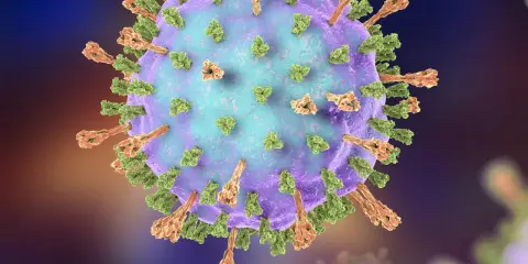 Detailansicht eines Mumpsvirus. Selbst nach einer Impfung können Viren wie dieser Mumpserreger eine Infektion verursachen.