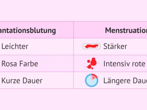 Vergleich: Einistungsblutung vs. Menstruation. Wann tritt sie auf? Leichter, rosa, kurz vs. stärker, rot, länger.