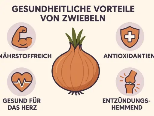 Gesundheitliche Vorteile von Zwiebeln: Nährstoffreich, Antioxidantien, gut fürs Herz, entzündungshemmend. Zwiebeln sind gesund!