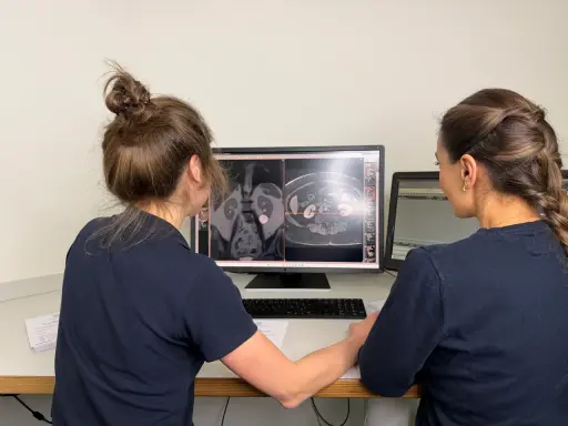 Zwei Frauen analysieren MRT-Bilder des Beckens einer Frau, um einen Tumor zu identifizieren.