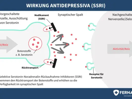 Schema der SSRI-Wirkung: Medikamente hemmen Serotonin-Rücktransport, erhöhen Verfügbarkeit im synaptischen Spalt. Eine Liste von Psychopharmaka könnte dies veranschaulichen.