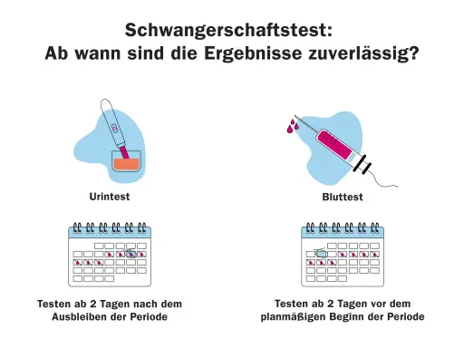 Wann Schwangerschaftstest? Urintest ab 2 Tage nach Ausbleiben der Periode, Bluttest ab 2 Tage vor dem geplanten Beginn.