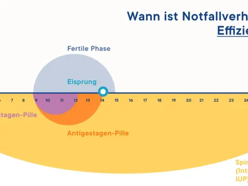 Grafik zeigt den Menstruationszyklus mit fruchtbarer Phase und Eisprung. Sie erklärt, wann die Notfallverhütung, wie die Pille danach, am effizientesten ist.