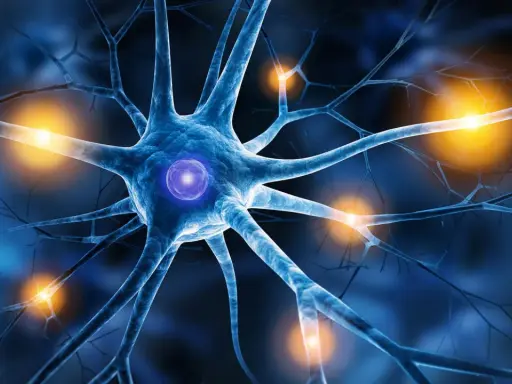 Blaues Neuron mit leuchtendem Kern und orangefarbenen Impulsen, die auf die Nervenbahnen hindeuten. Mögliche Darstellung von small fiber neuropathie augen.