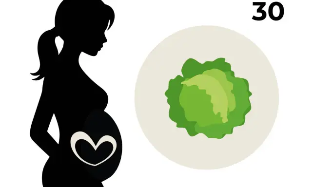 Silhouette einer schwangeren Frau mit einem Herzsymbol auf dem Bauch. Daneben ein Kohlkopf und die Zahl 30, die 30 ssw symbolisiert.
