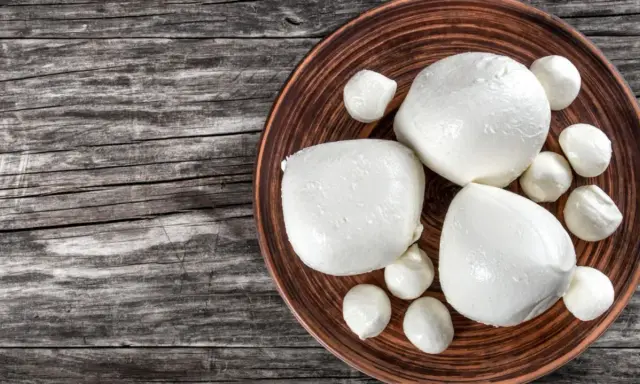 Frische Mozzarellakugeln auf einem Teller. Ein gesunder Snack für die Schwangerschaft.