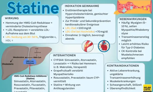 Statine: Häufige Nebenwirkung sind Muskelschmerzen. Die Frage, wie lange Muskelschmerzen nach Absetzen von Statinen anhalten, wird hier nicht direkt beantwortet, aber CK-Kontrolle bei Schmerzen empfohlen.
