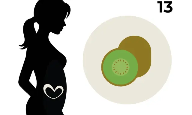 Silhouette einer schwangeren Frau mit einem Herzsymbol im Bauch. Daneben ein Kiwi-Obst und die Zahl 13, die 13 ssw. symbolisiert.