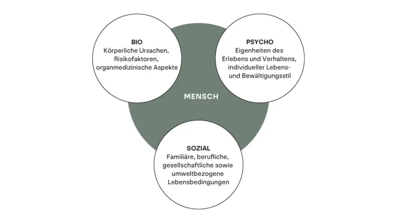 Das bio-psycho-soziale Modell erkl&auml;rt den Menschen durch k&ouml;rperliche, psychische und soziale Faktoren.