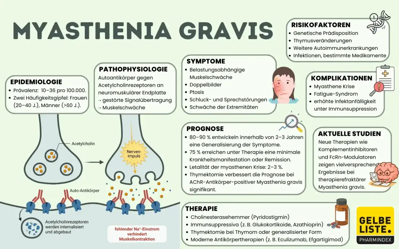 Myasthenia Gravis: Autoimmunerkrankung mit Muskelschw&auml;che. Risikofaktoren sind Infektionen und bestimmte Medikamente, die als verbotene Medikamente bei Myasthenia Gravis gelten k&ouml;nnen.
