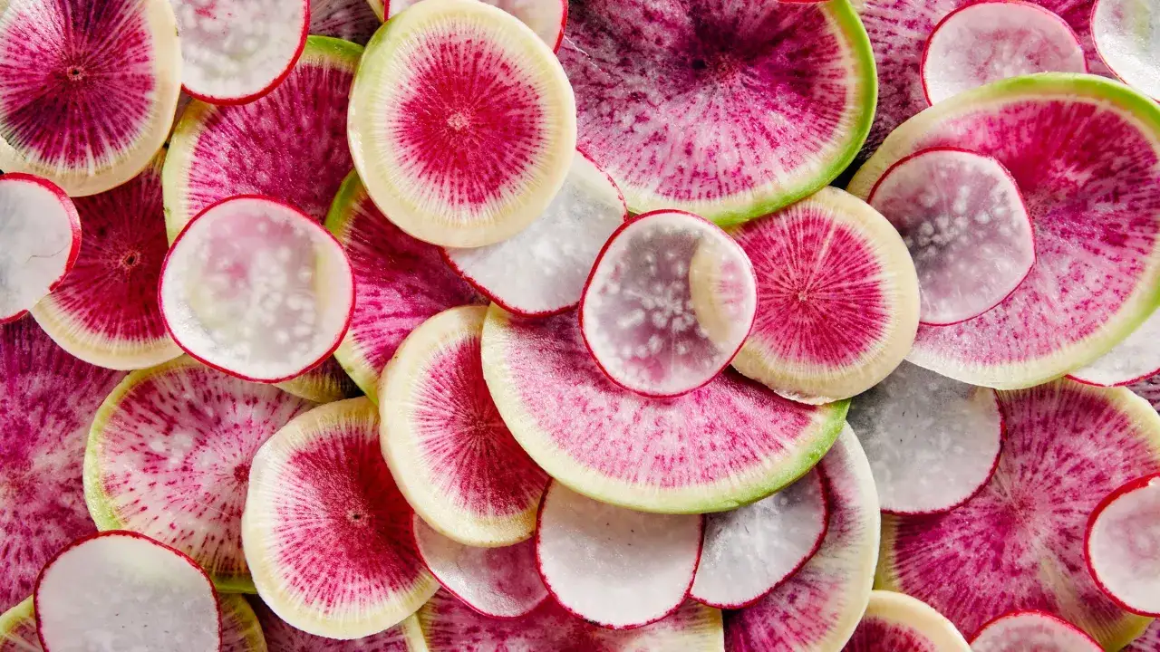 Bunte Scheiben von Radieschen, die zeigen, wie gesund radieschen sind. Sie sind ein visueller Genuss und voller Nährstoffe.
