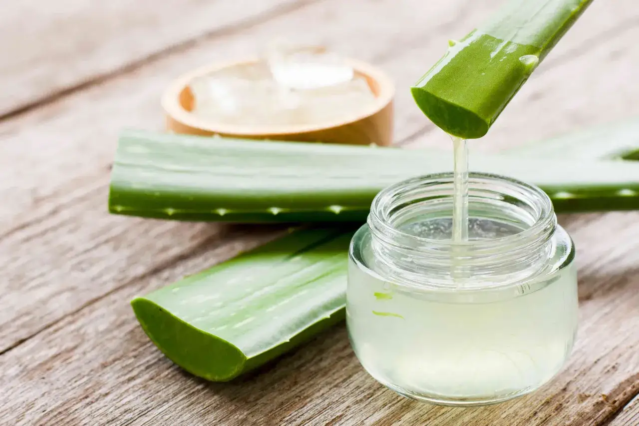 Frisches Aloe Vera Gel tropft aus einem Blatt in ein Glas. Daneben liegen weitere Aloe Vera Blätter und eine Schale mit Eiswürfeln.