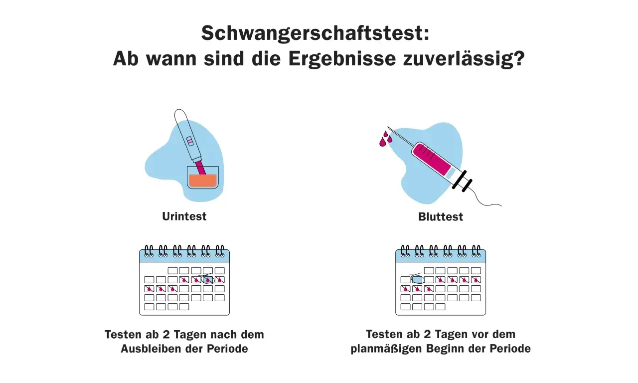 Wann Schwangerschaftstest? Urin- und Bluttests werden verglichen. Urintests sind ab 2 Tage nach Ausbleiben der Periode zuverlässig, Bluttests ab 2 Tage vor dem geplanten Beginn.