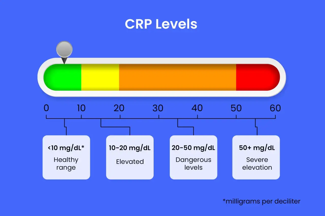 Grafische Darstellung von CRP-Werten: Ein Schieberegler zeigt verschiedene Bereiche von grün (gesund) bis rot (stark erhöht). Der CRP wert ist entscheidend für die Beurteilung von Entzündungen.