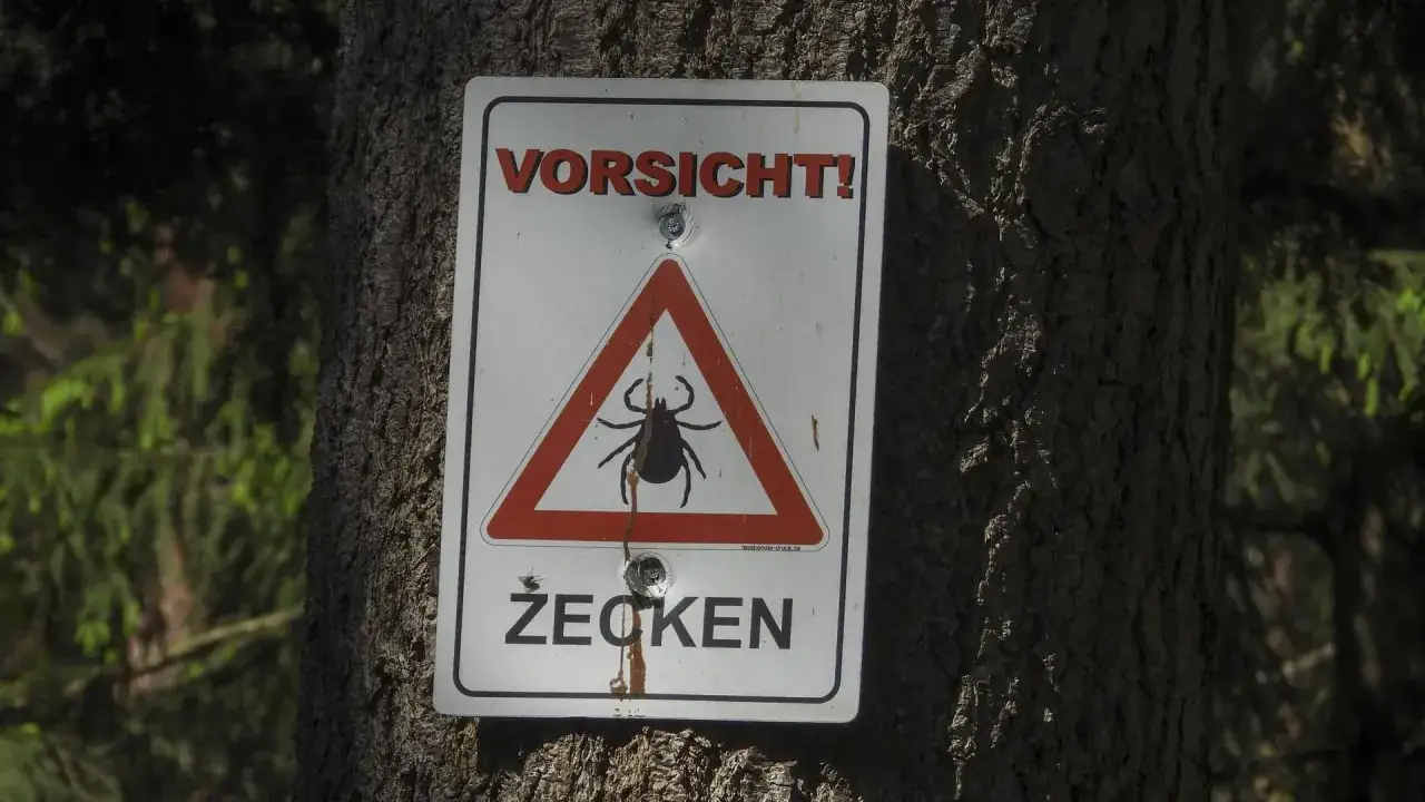 Vorsicht! Warnschild an einem Baum: Zecken sind hier unterwegs. Achte auf dich und entferne Zecken sofort.