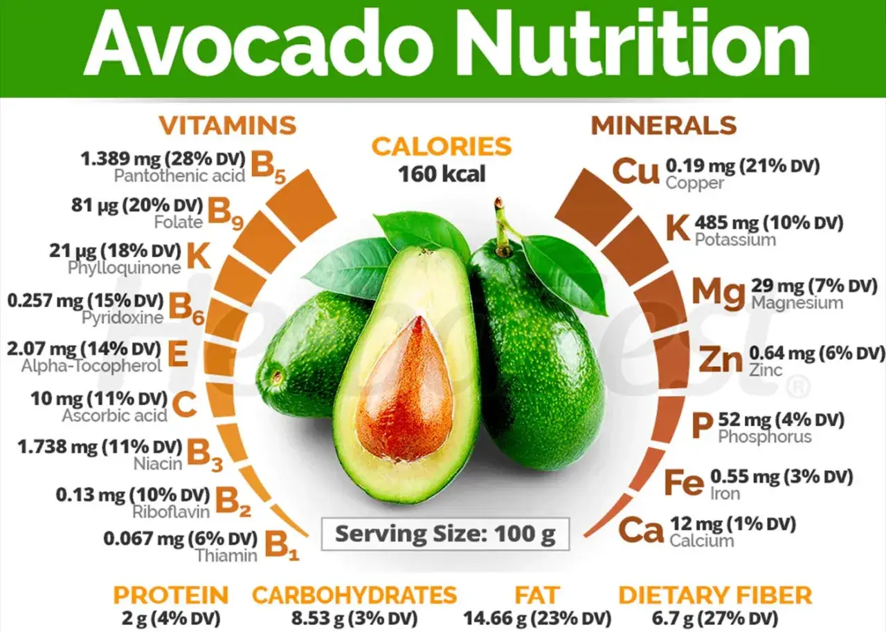 Avocado mit vielen Vitaminen und Mineralstoffen, 160 kcal pro 100g. Ein gesunder Snack!