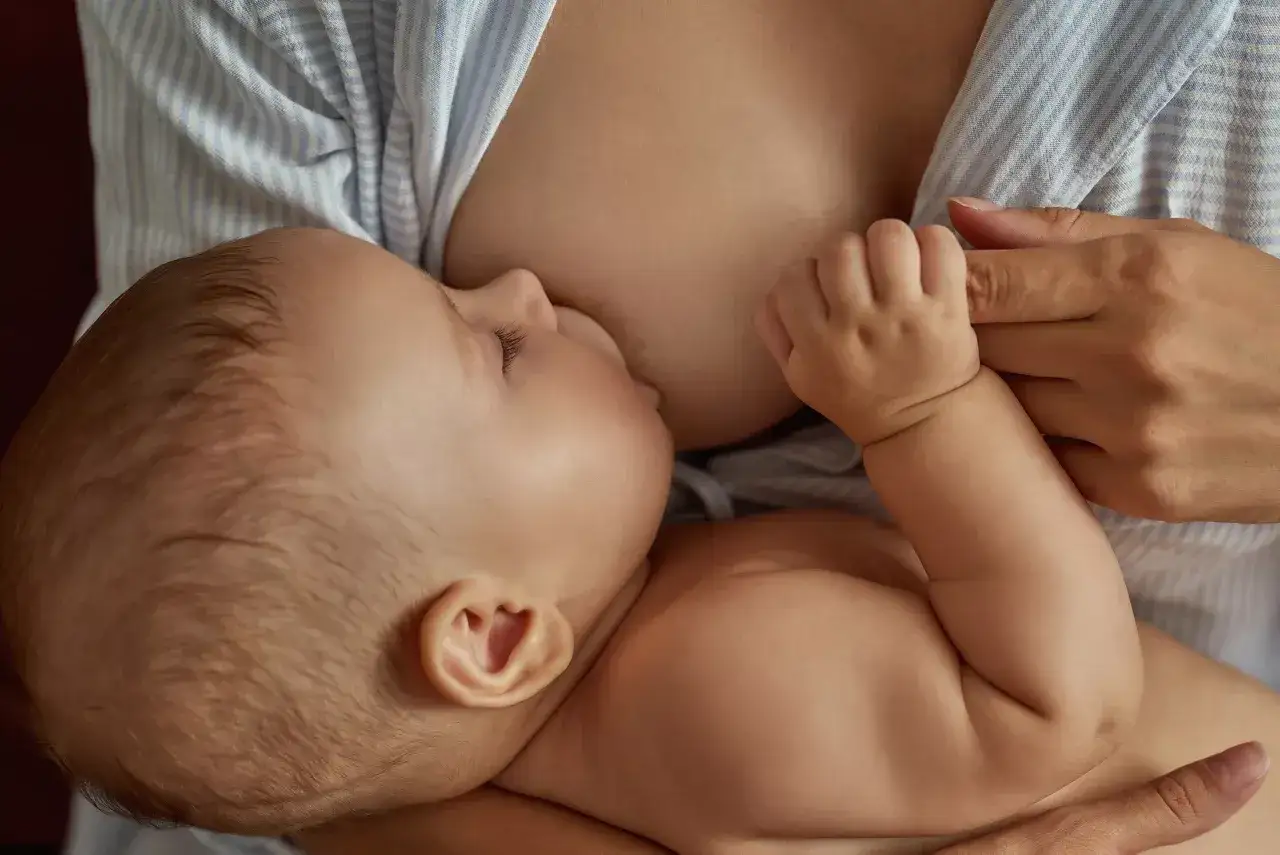 Ein Baby trinkt an der Brust. Die Mutter h&auml;lt es liebevoll. Informationen zum Thema abstillen wie sind hier nicht ersichtlich.