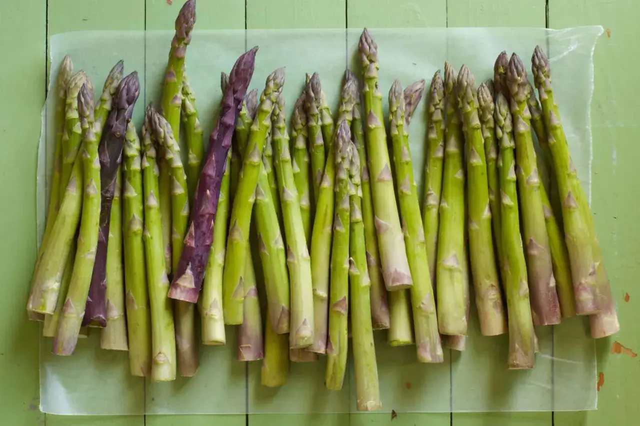 Ein Bund gr&uuml;ner und violetter Spargel liegt auf gr&uuml;nem Untergrund. Manche fragen sich, warum riecht Urin nach Spargel &ndash; die Antwort liegt in den enthaltenen Schwefelverbindungen.
