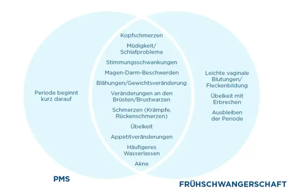 Venn-Diagramm zeigt PMS-Symptome und Frühschwangerschafts-Anzeichen. Manche Symptome ähneln sich, was zu Verwirrung führen kann, ob man schwanger trotz Periode ist.