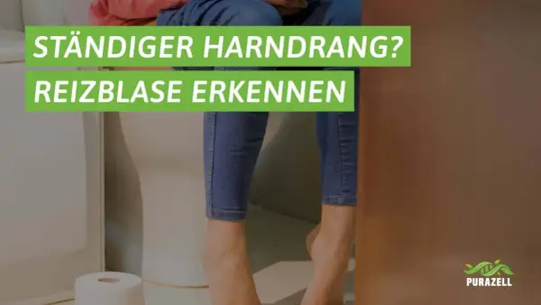 Ständiger Harndrang? Reizblase erkennen und was tun. Hilfe bei Blasenschwäche.