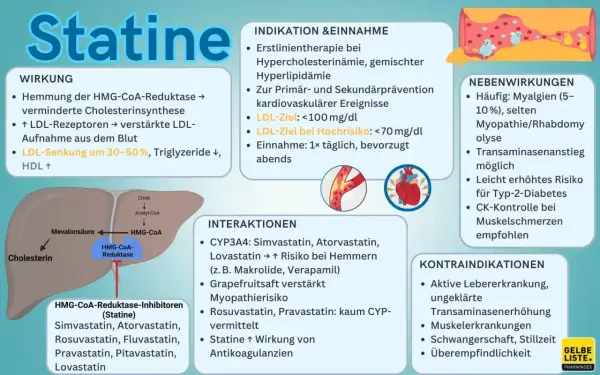 Statine: Häufige Nebenwirkung sind Muskelschmerzen. Die Frage, wie lange Muskelschmerzen nach Absetzen von Statinen anhalten, wird hier nicht direkt beantwortet, aber CK-Kontrolle bei Schmerzen empfohlen.